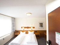 Hotel Alt-Mulheim