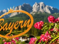 Bayern Resort Hotel 