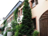 Braugut Hartmannsdorf 
