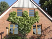Hof Rahlf im Naturpark Aukrug 