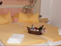 Pension MГјhlrad 