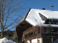 Schwarzwaldgasthof Hotel Hirschen 