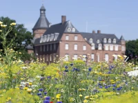 Romantik Parkhotel Wasserburg Anholt 