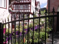 Hostel Calwer HГ¶fle 