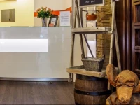 Hotel Hasen 