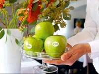BioHotel Kassel WilhelmshГ¶her Tor 