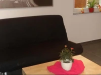 Riegers Ferienwohnung 