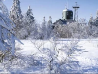 Landgasthaus "Zum wilden Zimmermann" 