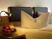 Hotel Hofgut Hohenkarpfen 