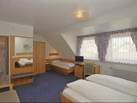 Hotel-Gasthof Rotes RoГџ 