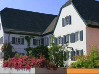 RheinRiver Guesthouse - Art Hotel 