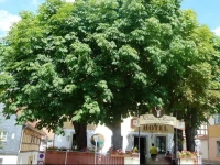 MB Hotel WeiГџer Hirsch 