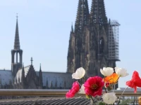 Haus am Dom - Apartments und Ferienwohnungen 