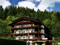 Hotel am Steinbachtal 