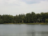 Waldsee Feriendienst Ferienpark am Waldsee 