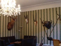Comfort Apartment im Gutshaus 