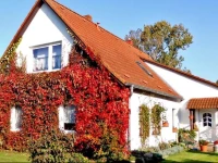 Bungalow und Ferienwohnung auf RГјgen 