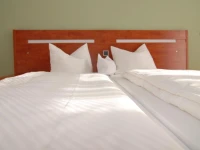 Hotel Stadtvilla Garni 