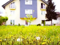 Hotel Pension Kaempfelbach 