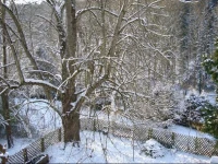 Burghof Wallhausen 