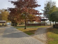 Apartments Luisenhof 