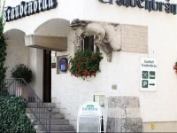 Hotel Gasthof TraubenbrГ¤u 