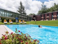 BEST WESTERN Ahorn Hotel StephanshГ¶he 