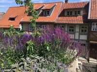Idyll 23 