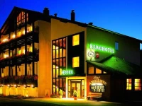 Berghotel Wolfshagen garni 