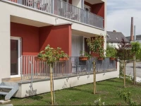 Hotel SchГ¶nau 