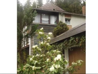Fairy Tale House 