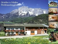 Bauernhof Steinlehen 
