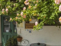 KrГ¤uterpension SГ¤umerpfad 