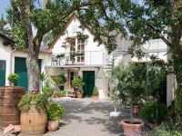 Weingut Endesfelder 