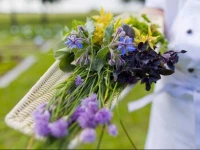 bio hotel sturm | garten & spa 