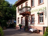 GrГјner Baum Merzhausen 
