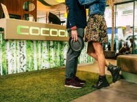 Cocoon Stachus 