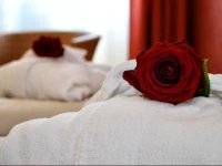 Carat Vitalhotel Monschau Eifel 
