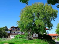 Hotel Garni Georgenhof 