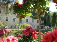 SchloГџhotel ErnestgrГјn 