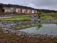 Hotel Zur-Borke 