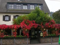 Landhaus Traube garni 