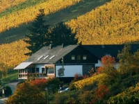 Weingut & GГ¤stehaus Sonnenhof 