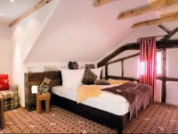 Alpin Lifestyle Hotel LГ¶wen & Strauss 