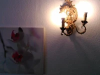 Ferienwohnung Alpensonne 