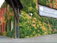 RГ¤uberschГ¤nke 