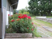 Ferienwohnungen In den Wiesen Oranienburg 