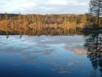 Vakantiehuis Lillstugan i Sverige 