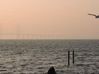 Strand Hotell Limhamn MalmГ¶ 