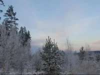 RommeRum 